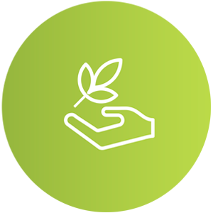 desarrollo sustentable